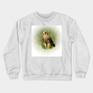 Common kestrel Crewneck Sweatshirt